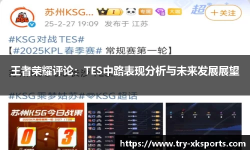 王者荣耀评论：TES中路表现分析与未来发展展望